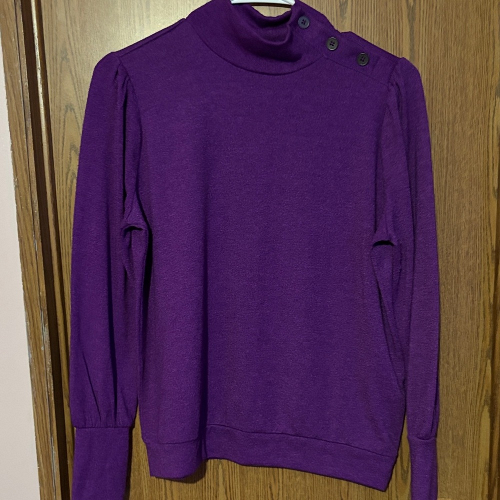 Banana Republic Deep Purple Turtleneck Sweater